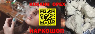 кокс Донской